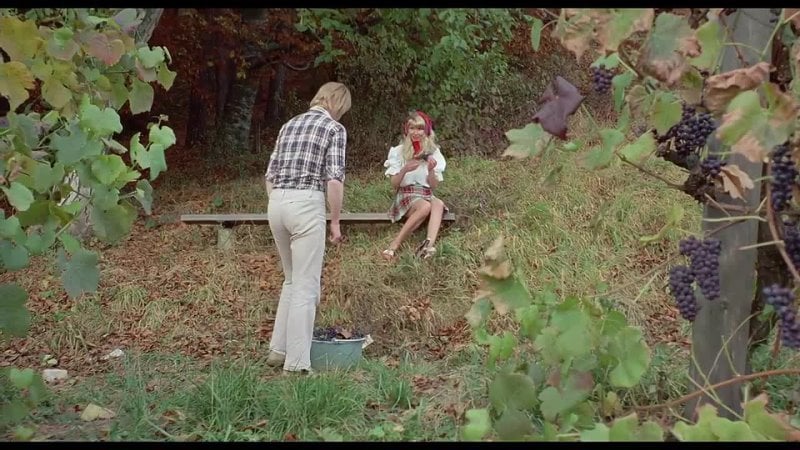 Phim trực tuyến đầy đủ phim nữ sinh 7 cô gái lịch (1972)