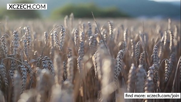 Sharon Cherry - La bellezza al tramonto - XCZECH.com