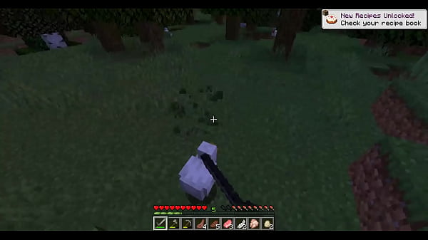 Gioco di Minecraft Parte 1