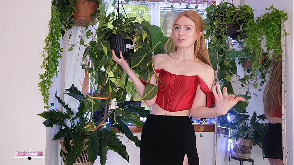 Nouvelles plantes que j'ai obtenues récemment