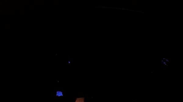 Ragazza teenager con pompino selvaggio